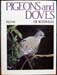 Pigeon and Doves of Australia - H. J. Frith