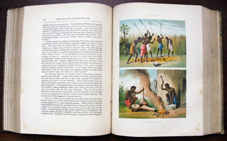 Life & Explorations of Dr. Livingstone - The Great Missionary Traveller - Plate 2