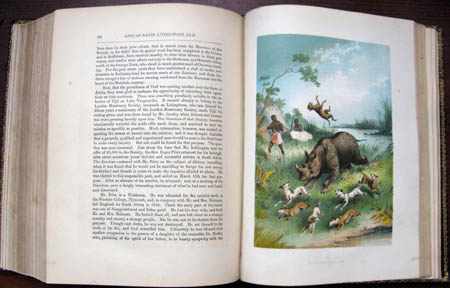 Life & Explorations of Dr. Livingstone - The Great Missionary Traveller - Plate 7