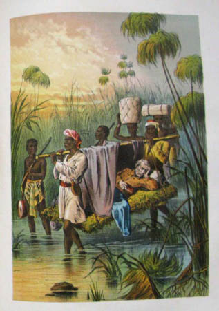 Livingstone Image for Front Cover