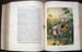 Life & Explorations of Dr. Livingstone - The Great Missionary Traveller - Plate 6