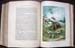 Life & Explorations of Dr. Livingstone - The Great Missionary Traveller - Plate 7