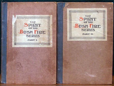 Spirit of the Bush Fire Series Set - Covers