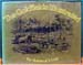 Goldfields Illustrated - The Sketches of S. T. Gill