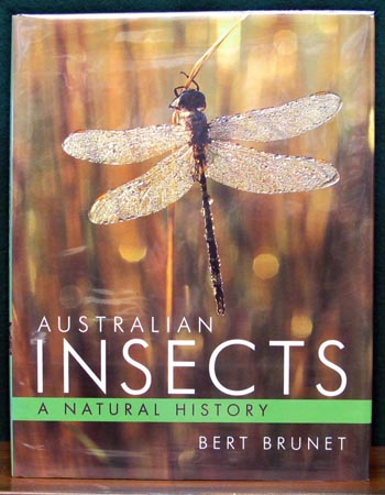 Australian Insects - A Natural History - Bert Brunet