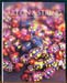 Art On A String - Aboriginal Threaded Objects form the Central Desert & Arnhem Land