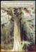 Garden of NSW - A History of Illawarra & Shoalhaven