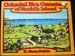Colonial Era Cemetery of Norfolk Island - R. Nixon Dalkin